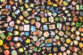 pins_eric2013